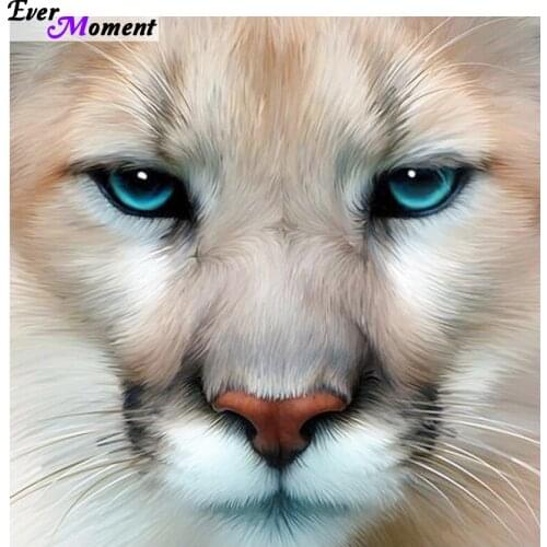 3D Diy Diamond Painting Animals White Cat Cross Stitch Wall Sticker Diamond Embroidery Full Resin Crafts Needlework ASF438