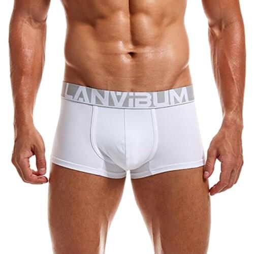 Brand Underwear Boxer Men Breathable Cotton Mens Boxers Male Underpants Sexy Gay Penis Pouch Panties Mens Trunks Short Panties