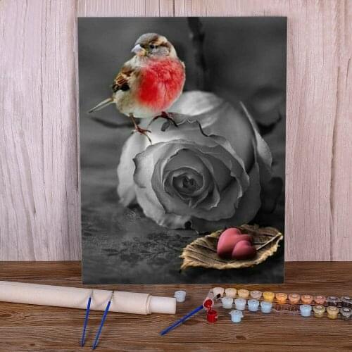 Bird Animal DIY Painting By Numbers Set Oil Paints 40*50 Paiting By Numbers Wall Decoration For Kids For Drawing Wholesale