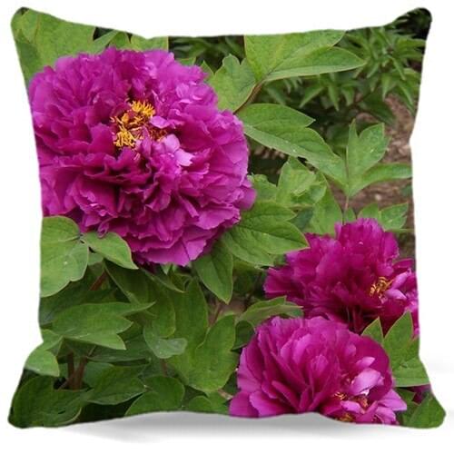 Beautiful rose red peony Animals Square Cushion cover Cotton polyester bedroom/chair/car/sofa seat 16 18 20 inches 9 style