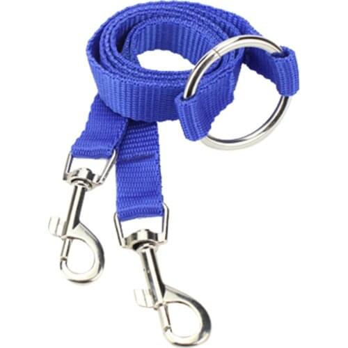 Double Leashes for Dogs Walk and Control 2 Dogs Nylon Belt Pet Dog Traction Rope for Small Pets (Blue)