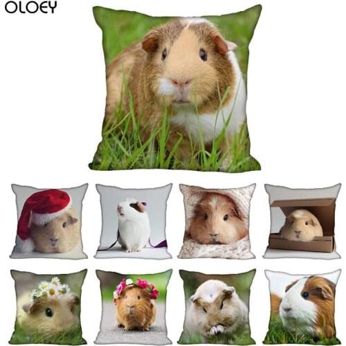 Guinea Pig Living Room Pillowcase Pillowcase 45X45cm (one Side) Pillowcase Modern Home Decoration Pillowcase Hotel Decoration