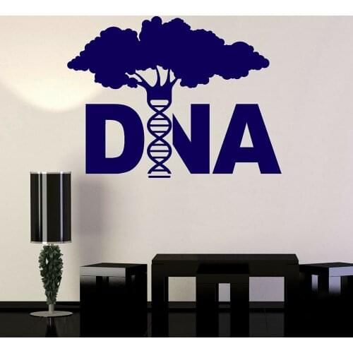 DNA Tree Wall Decal Genetics Biology Molecule Science Lab School Study Interior Decor Door Window Vinyl Stickers Creatives E222