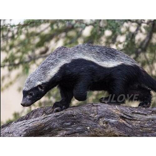 5D DIY Diamond Painting Full Square Round 3D Embroidery HoneyBadger Pictures of Rhinestones Cross Stitch Kits Arts Decor DF654