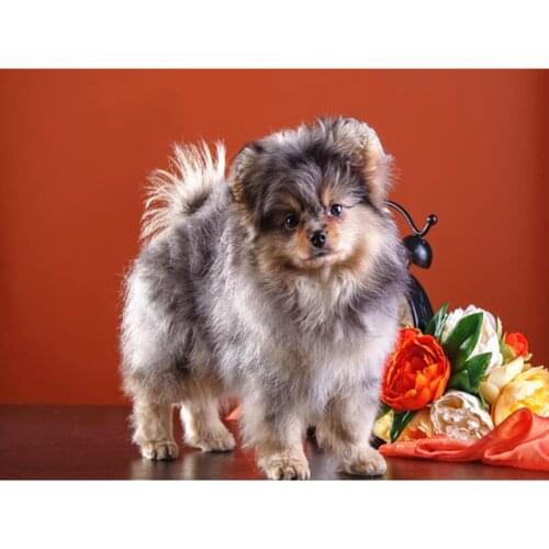 Animal Dog DIY Cross Stitch 11CT Embroidery Kits Craft Needlework Set Printed Canvas Home Decoration Hot Sell For Living Room