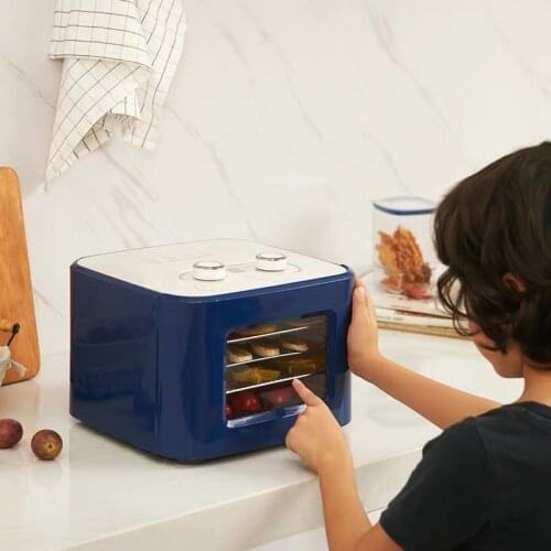 Electric Dried Fruit Machine Fruit Dryer Food Dehydrator Vegetable Beef Snack Meat Drying Machine 4 Layer Stainless Steel Grid