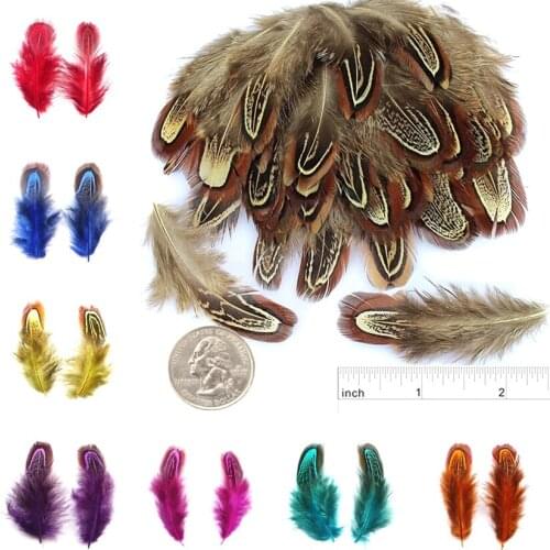 Ringneck Pheasant Feathers for Crafts 4-8CM 2-3" Wedding Feathers Decoration plumas carnaval Assesoires Natural Pheasant Feather