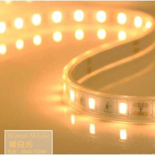 5m DC 12V 5730 5630 tube LED Strip Lights Flexible LED Lights Strip Waterproof Fita 60 LED/M With Self-adhesive Back Tape