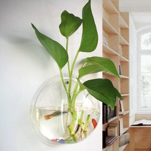 Living room micro view pendant indoor wall hanging decoration aquarium water vase balcony home decoration Aquarium