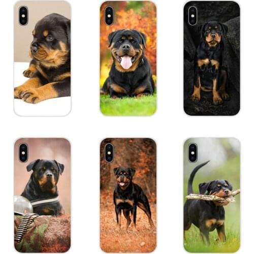 For Samsung Galaxy J1 J2 J3 J4 J5 J6 J7 J8 Plus 2018 Prime 2015 2016 2017 Animal rottweiler dog Accessories Phone Shell Covers