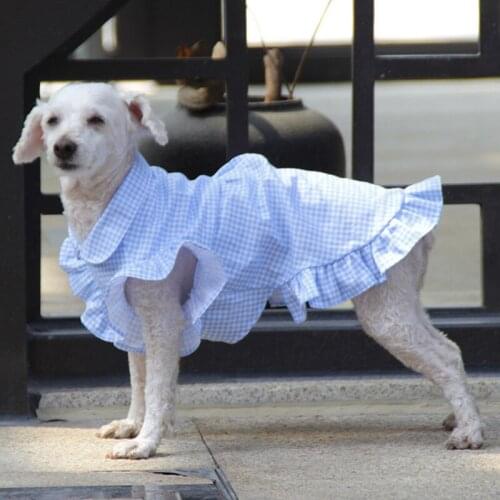 Dog Dress Pomeranian Poodle Bichon Schnauzer Welsh Corgi Dog Clothes Shiba Inu Clothing Summer Pet Apparel Skirt Dropshipping