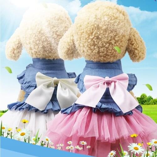 New Korean Pet Dress Princess Ponpon Teddy Poodle Spring and Summer Dog Skirt Plus Winter Denim Skirt Small Dog Dress