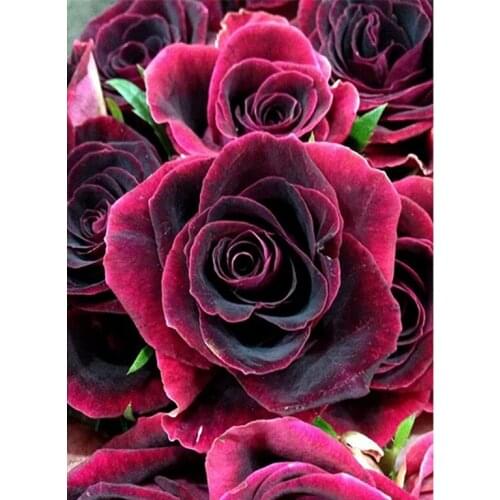 5D DIY Diamond Painting Rose Flowers Round Diamond Embroidery Cross Stitch Diamond Wall Painting Diamond Mosaic Love gift