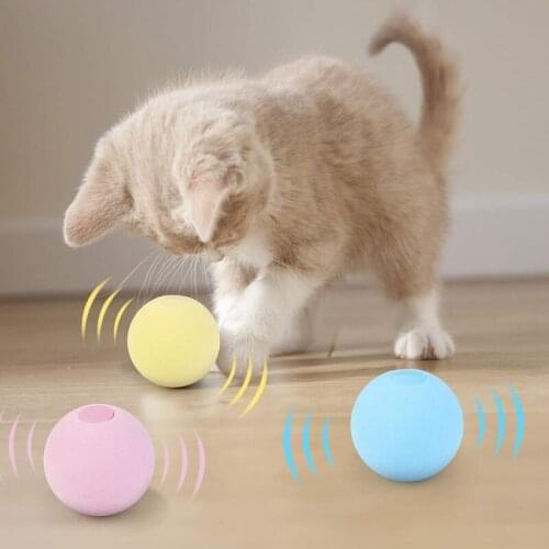 Cat Toys Interactive Ball Catnip Cat Training Toy Pet Smart Touch Sounding Playing Ball Pet Squeaky Products Supplies for Kitten
