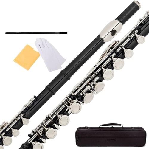 Profesyonel öğrenciler serisi 16 delik artı E anahtar Obturator flute enstrüman siyah gövde gümüş kaplama anahtar flüt kılıf