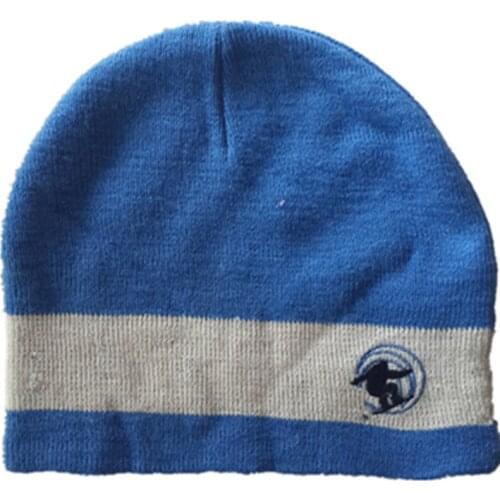 Cartoon Computer embroidery thick wool Wind Hats Ski skating Knitting Cap Winter Soft Warm Ear protection Fleece Lining Beanies