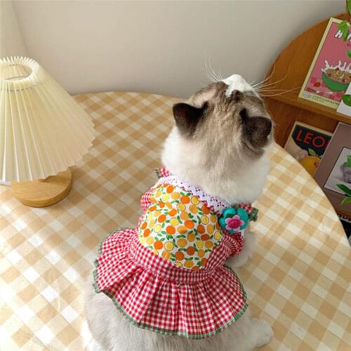 2021 New Cat Clothes Spring Summer Pet Clothing for Small Cats Dogs Cat Costume Soft Kitten Kitty Dress Pet Clothes Puppy Outfit