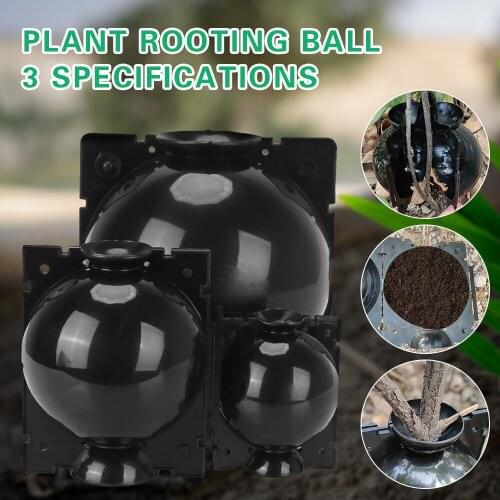 Case Plant Root Growing Box Grafting Rooting Breeding Growing Box For Garden 5.5/8/12.5cm In Diameter Plant Rooting Ball
