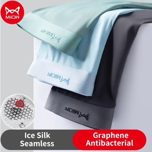 MiiOW Mens Silk Briefs