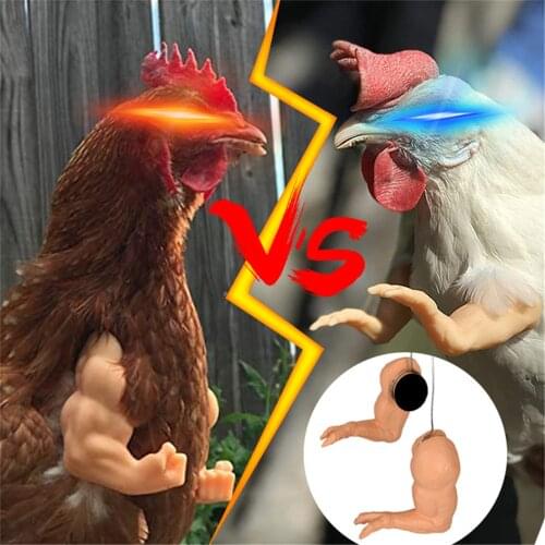 Muscle Chicken Arms Gag Gifts Chicken Arm for Chicken to wear Muscle Arms New