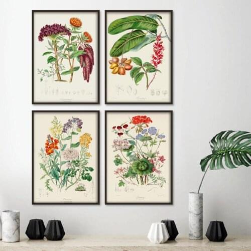 Botanical Plants Wall Art Painting Vintage Style Flowers Vegetables Fruits Graph Vintage Poster Kraft paper