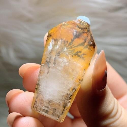 Dendritic Tower 2290