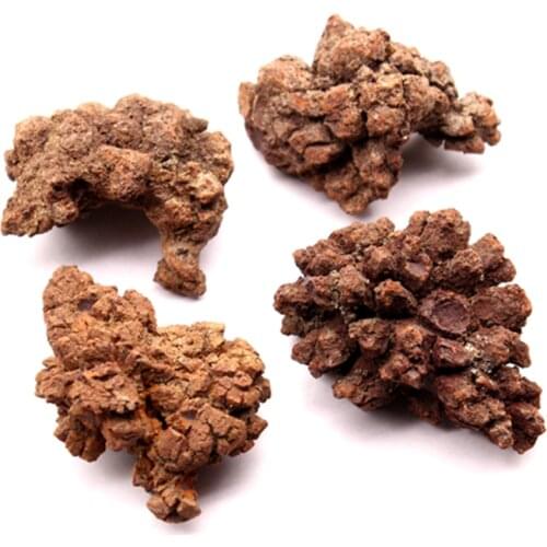 Natural Rough Feces Fossil Dinosaur Dejecta Fossil Specimen Quartz Crystal Stone Teaching Minerals Specimen Home Decoration