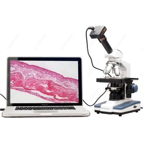 Running Shoes AmScope China