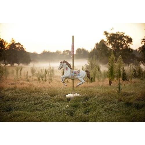 Merry-go-round kids photo backgrounds vinyl fotografia wild life photography backdrops for photo studio props photophone lv-1378