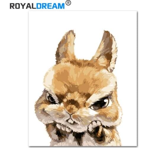 ROYALDREAM Wow-Rabbit Cute Animal DIY Painting By Numbers Acrylic Paint By Numbers HandPainted Oil Painting On Canvas For Home
