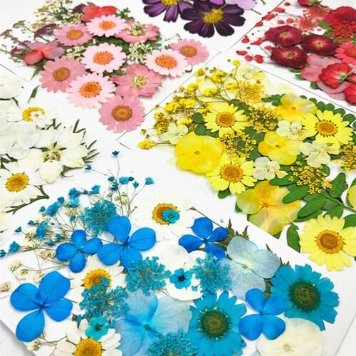 1 Box Real Dried Flower Dry Plants For Aromatherapy Candle Epoxy Resin Pendant Jewelry Soap Making Craft Diy Accessories