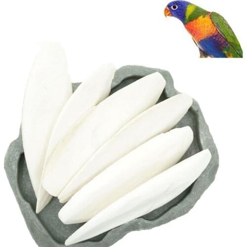 1 Pack Cuttlebone Cuttlefish Sepia Bone Cuttle Fish Bird Food Calcium Pickstone Pet Supplies Parrot Birds Teeth Grind Training