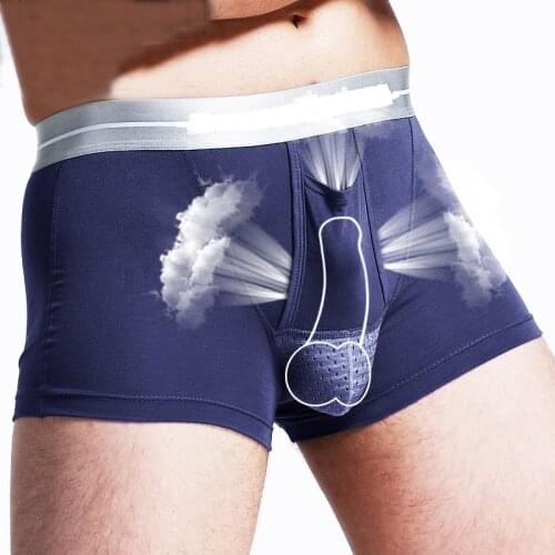 Sexy Gay Underwear Men Boxer Mesh Pouch Penis Up scrotum separation Cave Unterhosen Herren Boxers Hombre Boxershorts Breathable