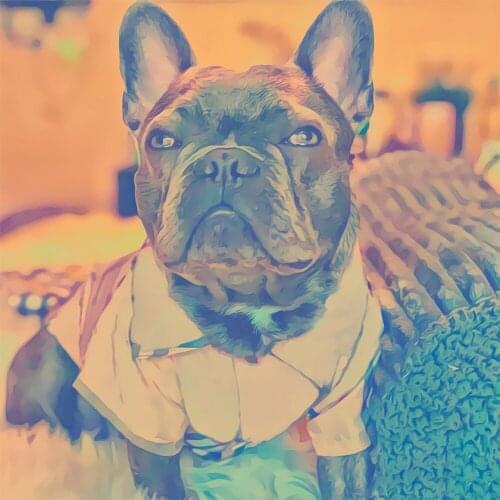 Dog Shirt for Small Dogs Spring Summer Plaid Shirt for Chihuahua Thin Jacket for French Bulldog Puppy Costume PC0985