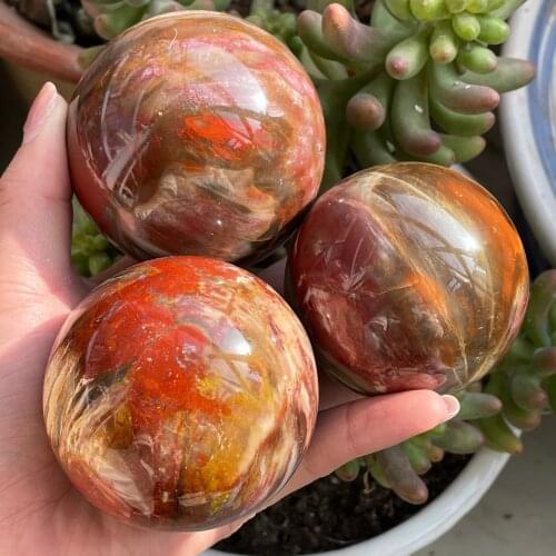 Natural Petrified Wood Quartz Mineral Crystals Gemstones Ball Reiki Healing Fine Home Decoration