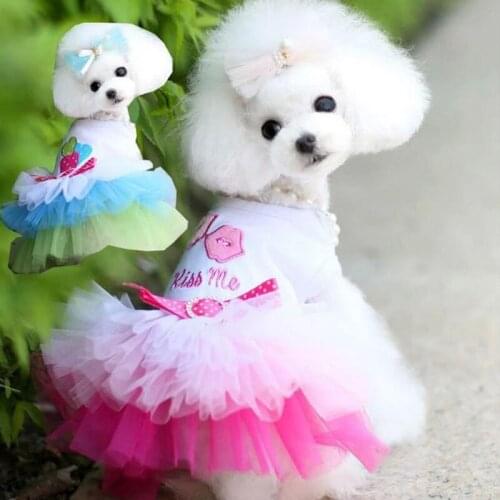 Pet Dog Clothes Lace Classic Tie Skirt Princess Cute Dog Dress 6 Type Dog Accessories Small And Medium Dog Dress Cotton