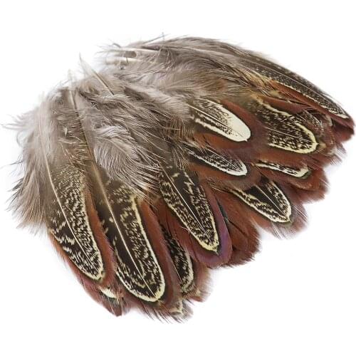 50 Pcs/Pack Natural Rooster Feather 3-8 CM Decoration for Party Wedding Clothes Jewelry Accessory Crafts Plumes Dyed Colorful