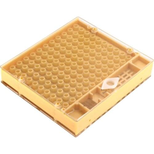 1PC Beekeeper Beekeeping Bee Nicot Queen Rearing Cell Cup Box Cultivating Plastic Honeycombs Grafting Cage Isolation Equipmen