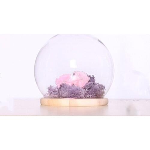 2sets/pack Diameter=15cm Middle Size Round Glass Dome Vase Home Decoration Creative Log Base Cover DIY Wedding Friend Gift