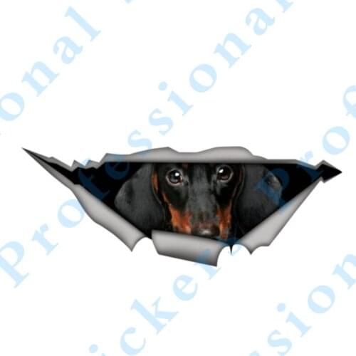 3D Animal Space Hare Vinyl Stickers Rabbit Cool Sticker Laptop Luggage JDM Decal Car Wrap Vinyl Trunk Truck Graphics