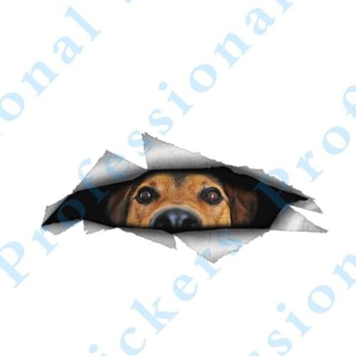 3D Animal 13 x 5 Albino Burmese python Car Sticker Torn Metal Decal Reflective Sticker 3D Lovely Decal Car Styling Waterproof