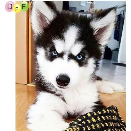 DPF DIY husky 5D diamond mosaic kit full square crafts diamond embroidery needlework diamond painting cross stitch home decor