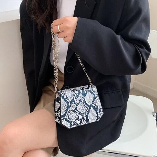 2021 New Womens Bag Summer Small Handbags Korean Style Crossbody Bag Fashion Shoulder Bags Serpentine Mini Purses and Handbags