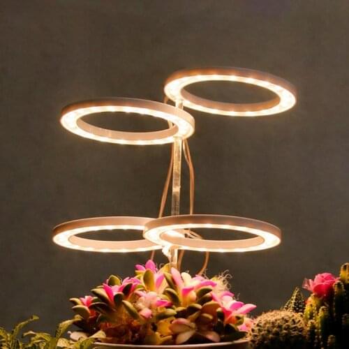 Angel 1/2/3/4 Ring Grow Light DC5V USB Phytolamp For Plants Led Full Spectrum Lamp Indoor Plant Seedlings Home Flower Succulet