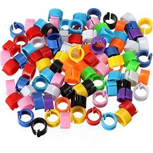 100 Pcs Pigeons Rings 8mm Bayonet Identification Ring Opening Pigeon Ring Color Pigeon Foot Ring Pigeon Supplies Bird Appliances