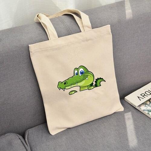 Kawaii Animal Cartoon Dinosaur Print Canvas Bag Large Closure Unisex Tote Bags Shopping Bag Shoulder Bag Reuse Foldable
