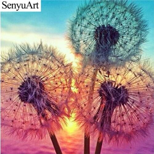 SenyuArt Diamond Painting Full Round Embroidery Picture Mosaic Art Flower Dandelion Landscape Cross Stitch Kit Home Decoration