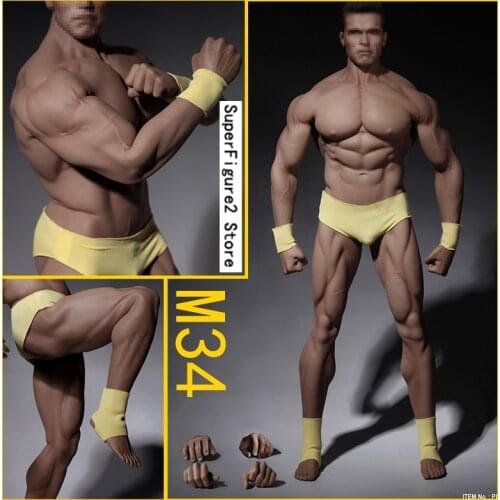 TBLeague PL2016-M34 1/6 Scale Super Flexible Male Muscular Seamless Body Suntan TB-League/ Phicen