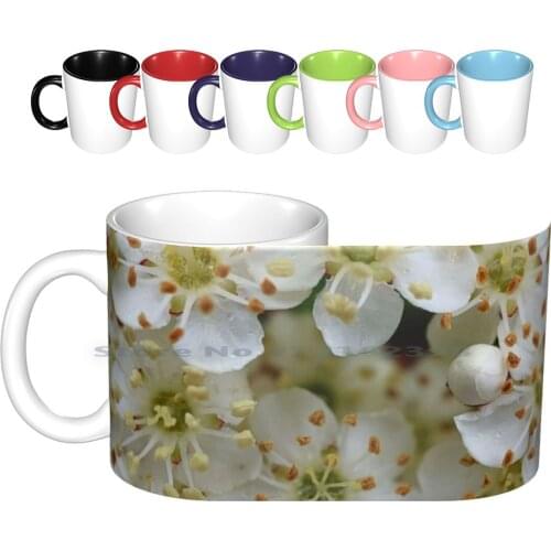 White Spring Flowers Ceramic Mugs Coffee Cups Milk Tea Mug White Spring Flowers Pistils Nature Angela Creative Trending Vintage