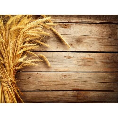 Planks Backdrop Brown Wooden Board and Wheat Photography Background Holiday Celebration Photo Booth Studio Decor